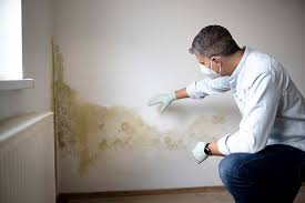 Why You Should Choose Our Mold Remediation Services in Jamestown West, NY